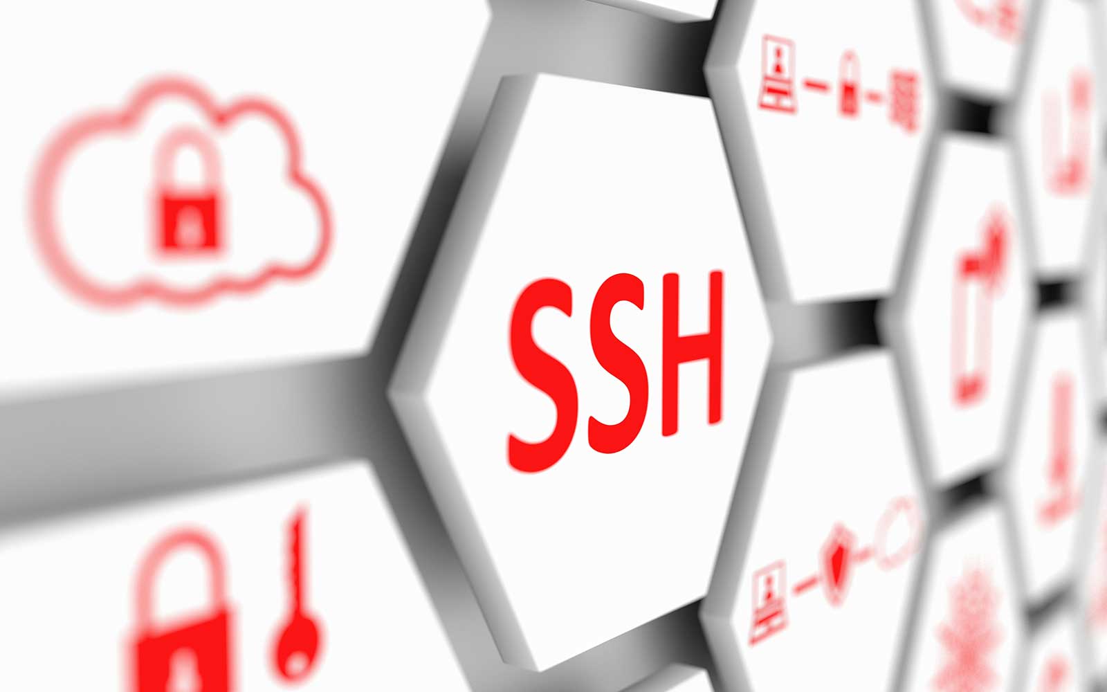 Tạo và sử dụng SSH Key trong việc quản lý source code